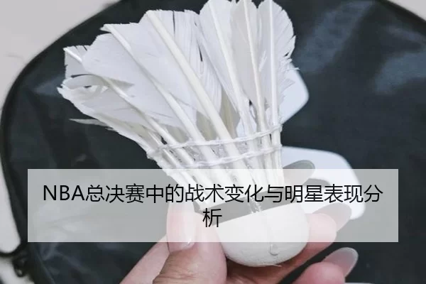 NBA总决赛中的战术变化与明星表现分析